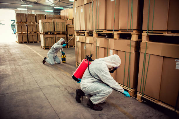 Best Pest Removal Services  in Newpt, OR