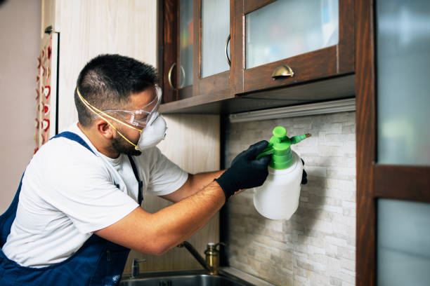 Pest Prevention Services in Newport, OR