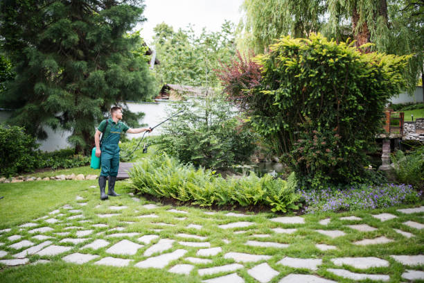 Pest Control Cost in Newport, OR