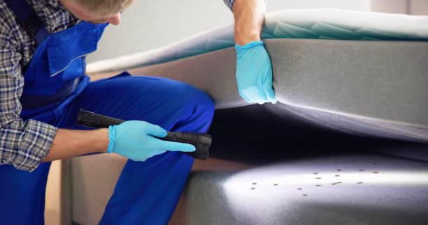 Best Best Pest Control Companies  in Newpt, OR