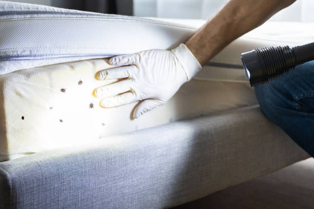  Newpt, OR Pest Control Pros