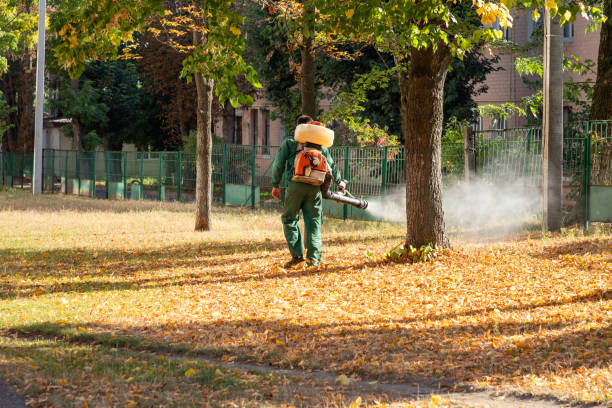 Best Affordable Pest Control Services  in Newpt, OR