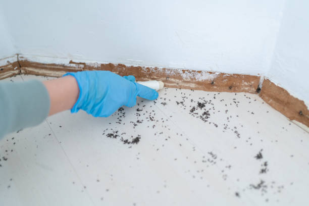 Best Wasp Removal Services  in Newpt, OR