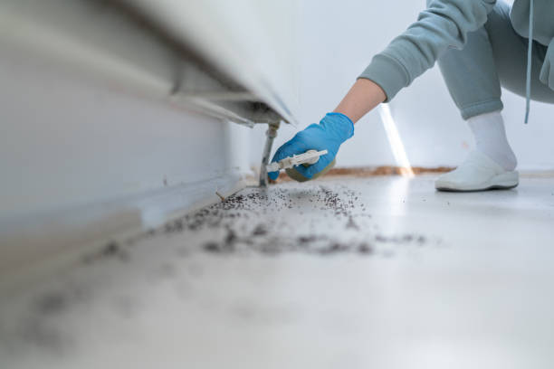Newport, OR Pest Control Company