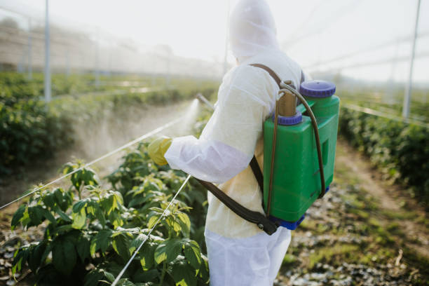 Trusted Newport, OR Pest Control Experts